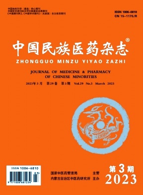 《中國民族醫藥》雜志